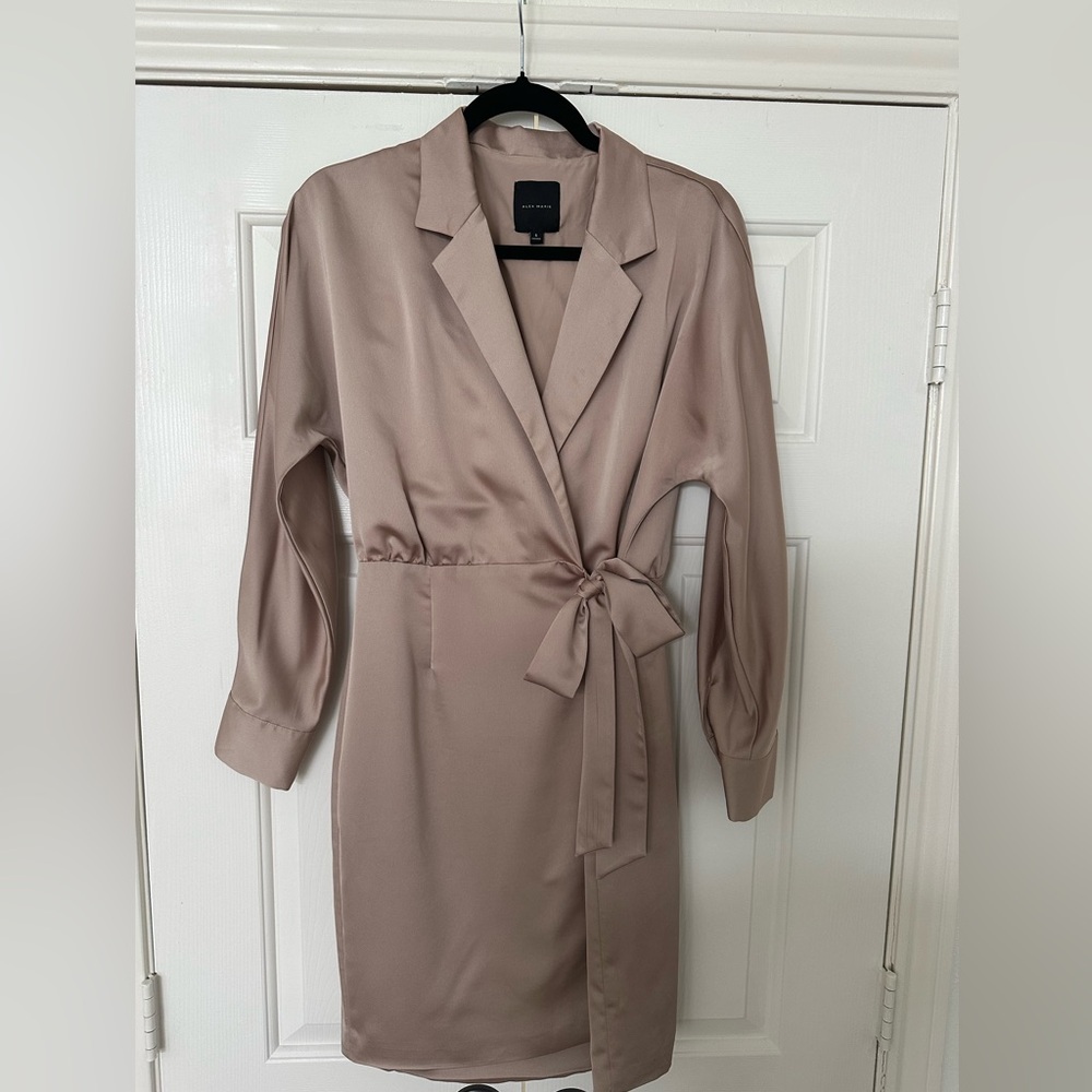 ALEX MARIE satin long sleeve tie dress